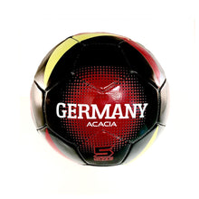 Load image into Gallery viewer, World Cup Soccer Balls
